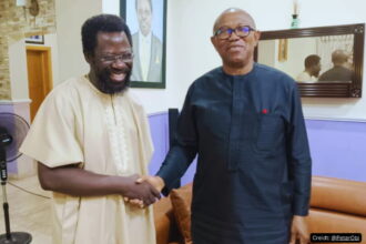 peter obi and dele farotimi