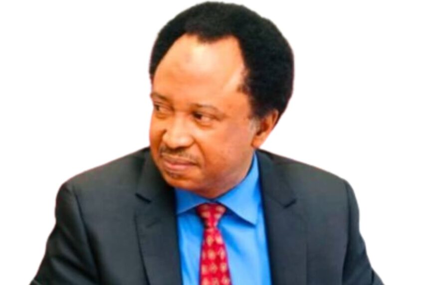 shehu sani