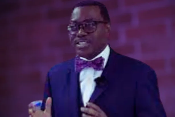 You Sound Like Peter Obi — Presidency Slams AfDB’s Adesina
